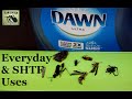 SHTF & Everyday Dawn Dish Soap Uses