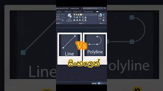 ​"Line vs Polyline? 😤 අඳින්න කලින් මේක බලන්න! #TheDrafterLK #lofi  #autocad  #shorts #sinhala  #tips