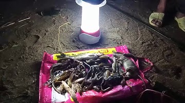 Dã ngoại suối Tây Bắc ,thả lưới và câu cá đêm