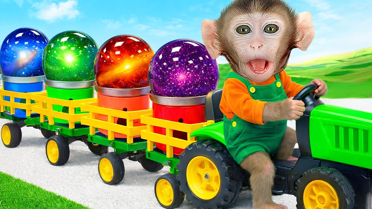 Mono CoCo, muy inteligente, usa manguera para llevar agua del arroyo y regar huerto! | MONO COCO ESP