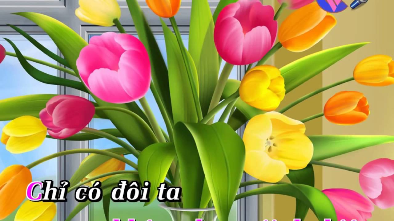 Đừng Nói Xa Nhau - Hát Karaoke Việt Nam Online Miễn Phí