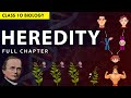Class 10 heredity  evolution full chapter explanation animation  ncert class 10 chapter 8