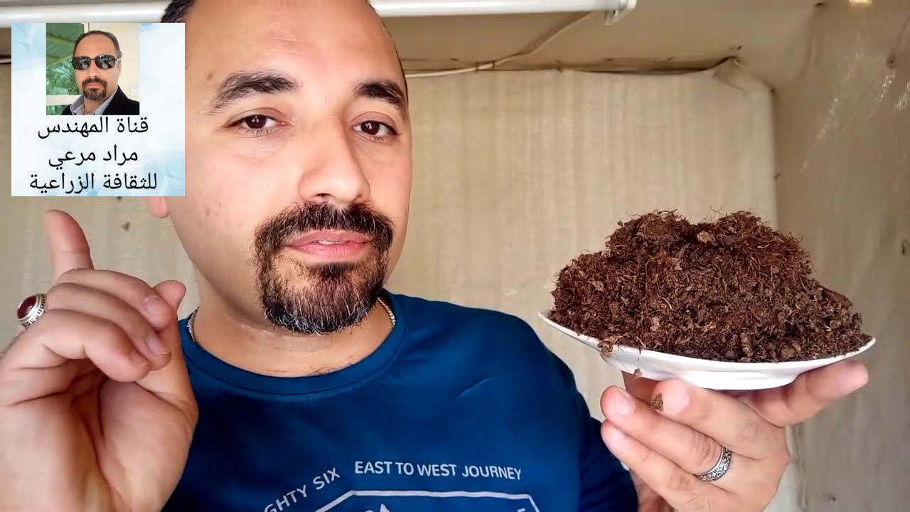 بيتموس بتموس تربة زراعية لكل نباتات كيف تصنع Peat moss حلقة 156