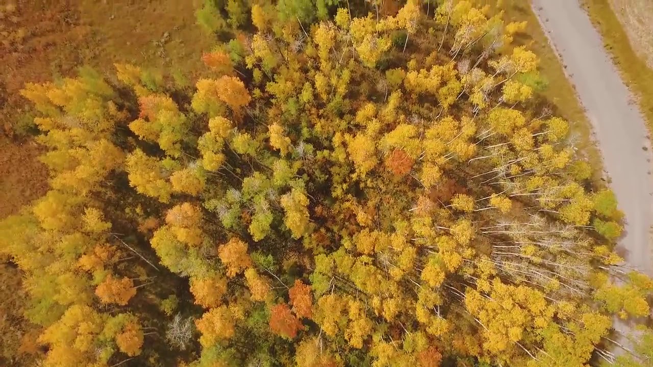 Ashton Idaho Land For Sale YouTube