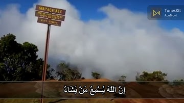 ومَا يَسْتَوِي الأعْمَى وَالْبَصِيرُ ۝ وَلا الظُّلُمَاتُ وَلا النُّورُ ۝   ما تيسر من سورة فاطر