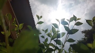 Tugas Informatika Membuat Video Sinematik "MATAHARI" ( X Kuliner 4 )