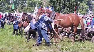 Мелеуз.Сабантуй 2017.Конкурс бригадиров.