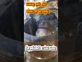 مومياء المتحف المصري ليست جسد النبي يوسف وما يدعيه أحمد عثمان مجرد خرافات يدعمها اليهود مومياء المتحف المصري ليست جسد النبي يوسف وما يدعيه أحمد عثمان مجرد خرافات يدعمها اليهود