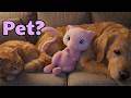 I Simulated Pokémon Mew In Real Life