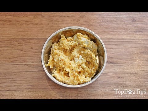 is scrambled egg good for dogs with diarrhea