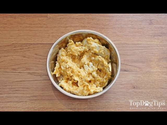 is scrambled eggs good for dogs with diarrhea