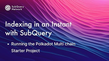 Running the Polkadot Multi chain Starter Project using SubQuery ⚡