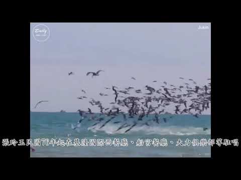 夜空  作詞：慎芝/作曲：平偉/  演唱：街頭藝人： 張玲玉（小咪）/影片後製：基隆市街頭藝人職業工會http://www.owa7179.com/
