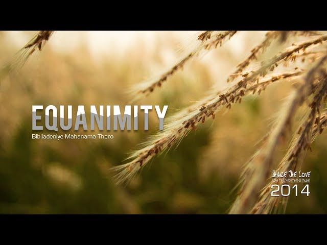 Equanimity -  Relaxation Music | Healing Music | Relaxing Music