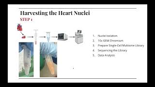 Hubmap Summer Internship 2024 - Presentation 8