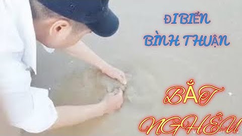 TAPU TRAN VỀ QUÊ BẠN CHƠI, ĐI BIỂN BÌNH THUẬN - BẮT NGHÊU thiệt là thú vị.