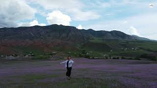 Purple Flowers, Kyrgyzstan @KanykeiMusic esimde