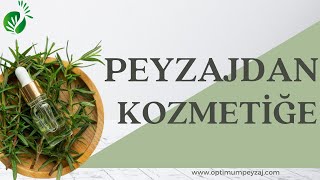 Peyzajdan Kozmeti̇ğe / Bazi Bi̇tki̇leri̇n Kozmeti̇kte Kullanimlari
