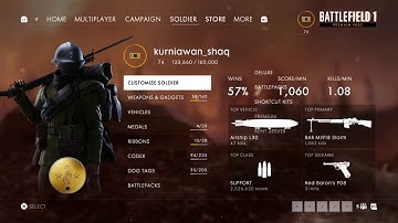 Battlefield 1 - They Shall Not Pass DLC (Connection issues) PS4