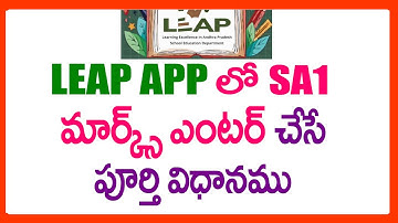 HOE JE SA1-MARKT-INVOER IN DE LEAP-APP KUNT DOEN - SA1-MARKT-INVOERPROCES IN DE LEAP-APP - SA1-MA...