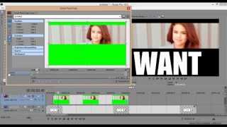 Sony Vegas - Effect #29