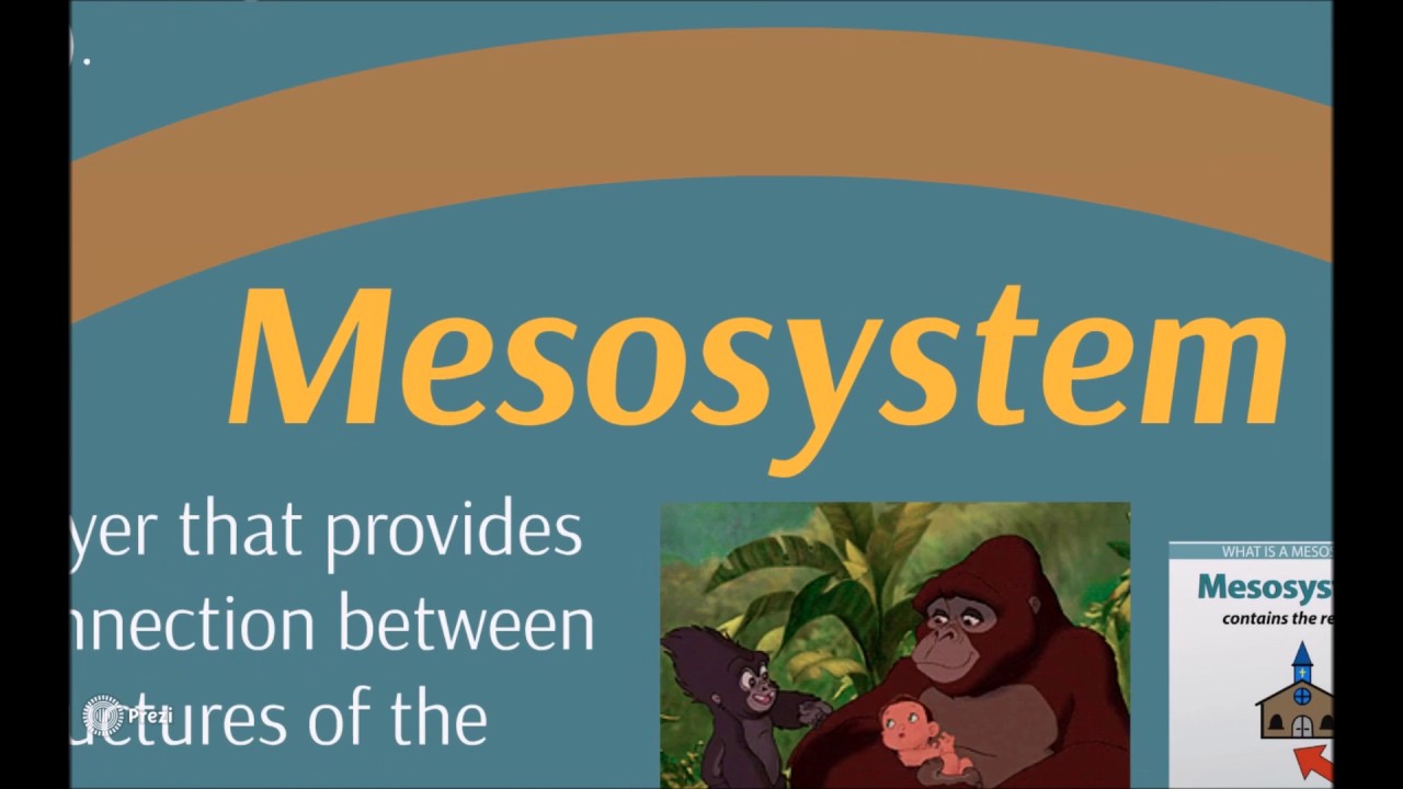 Bio Ecological Learning Theory