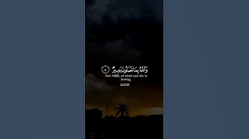 سورة الحديد | وهو معكم اين ماكنتم #شريف_مصطفى