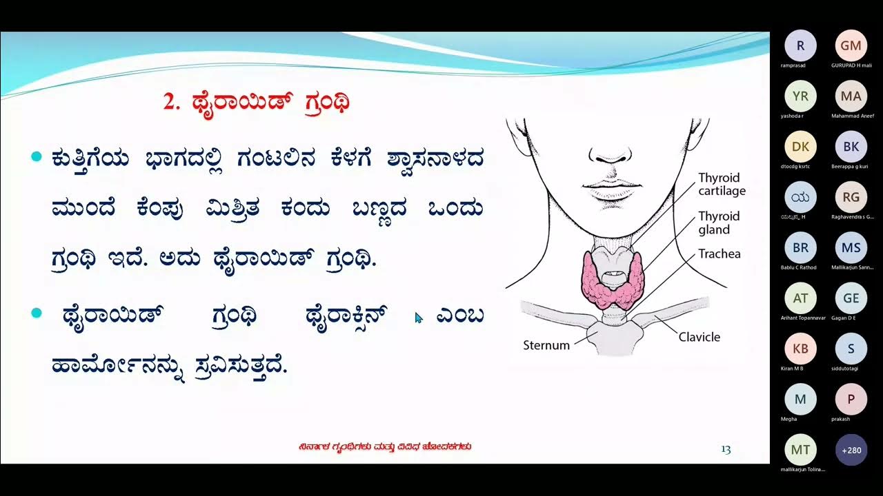 ENDOCRINE GLANDS OF ANIMALS IN KANNADA BY DR N B SHRIDHAR 23122022