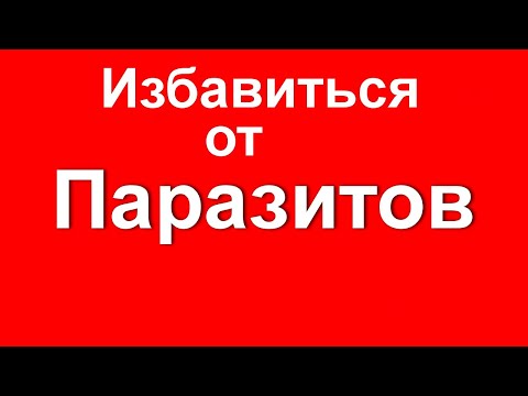 Листья грецкого ореха от глистов как использовать. Немедленно избавьтесь от паразитов пока не поздно