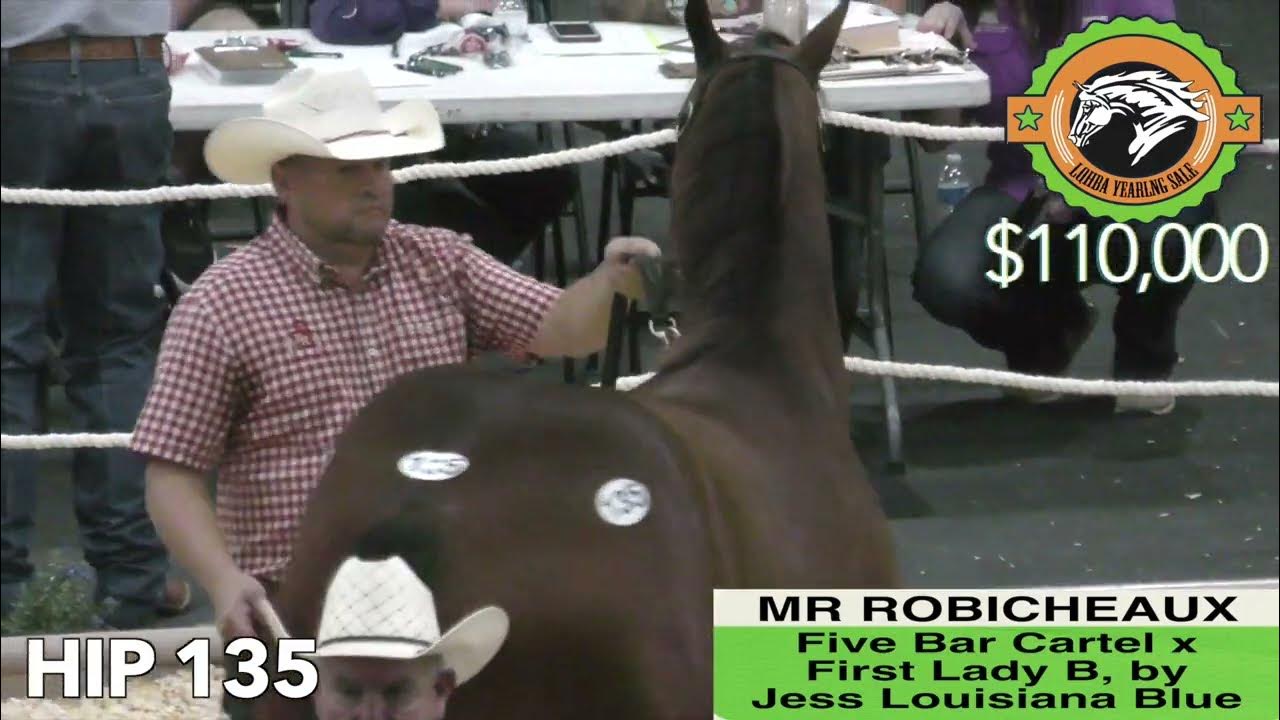 2022 LQHBA Yearling Sale Recap Day 1 YouTube