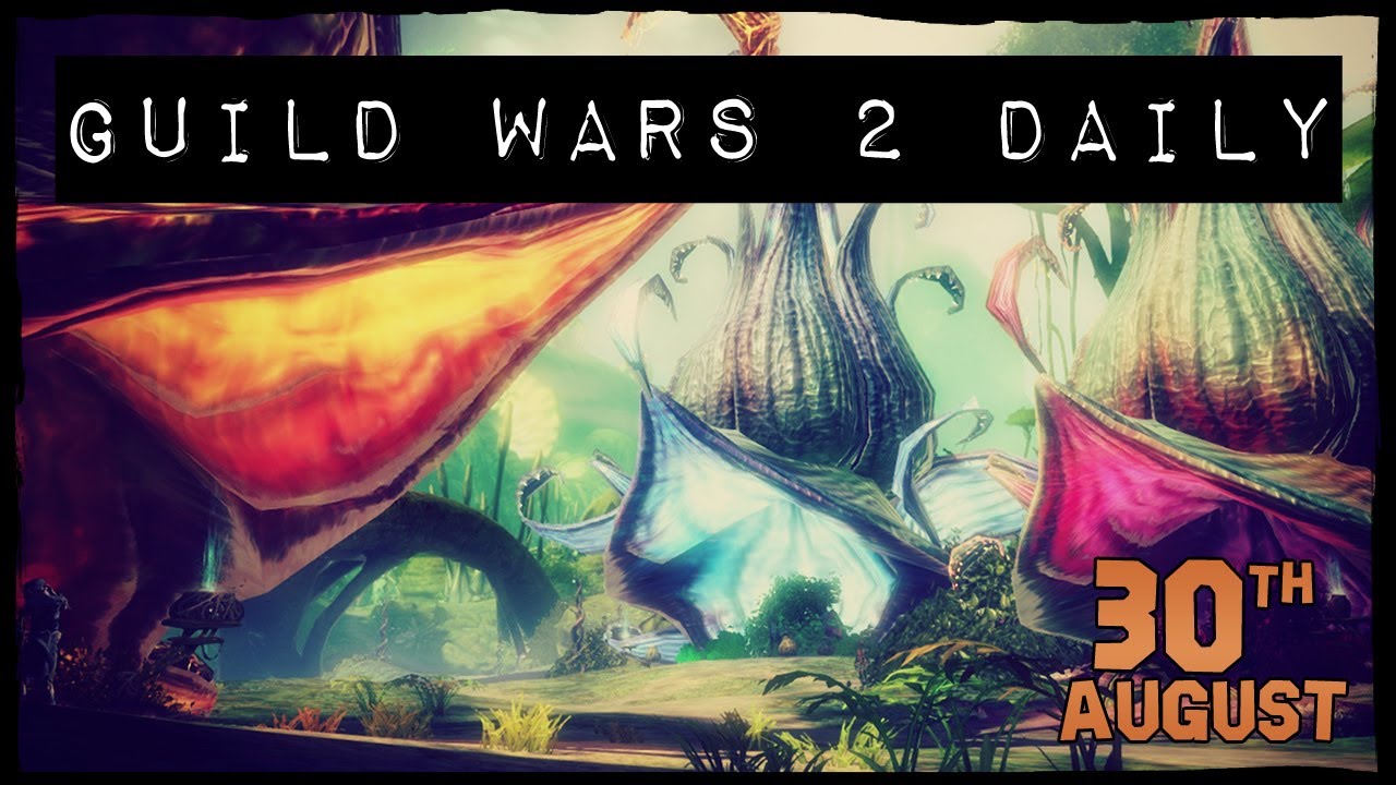 Guild Wars 2 Daily 30/8/12 YouTube
