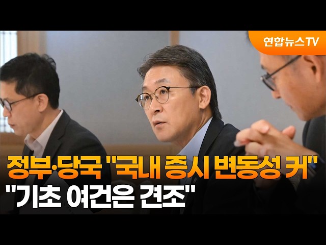 정부·당국 "국내 증시 변동성 커…기초 여건은 견조" / 연합뉴스TV (YonhapnewsTV)