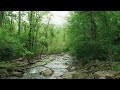 river cinematic video! river cinema! river cinematic! river cinema4d!