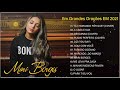 Mari Borges As Melhores Canções De 2021