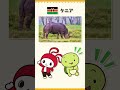 ぜんいち＆マイッキーとまなぶ まいぜんシスターズの世界の国ぐに