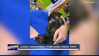 Puppy with parvo virus dies six days after being taken home