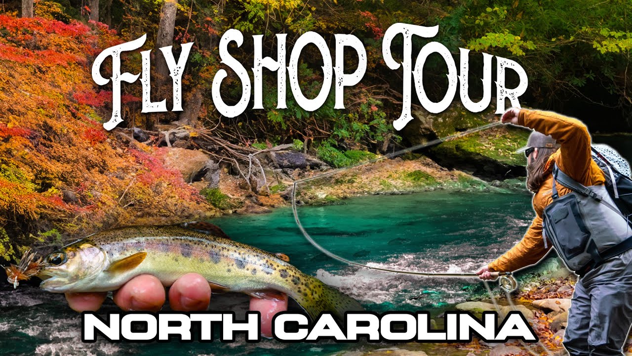 Dry Fly Fishing HEAVEN (Wild Trout)  FLY SHOP TOUR Szn 2 - Ep. 2 