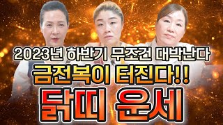 2023년 닭띠운세 하반기 금전의 물고가 터져 대박나는 닭띠운세?! 닭띠에게 찾아오는 큰 변화들 57년생 6…