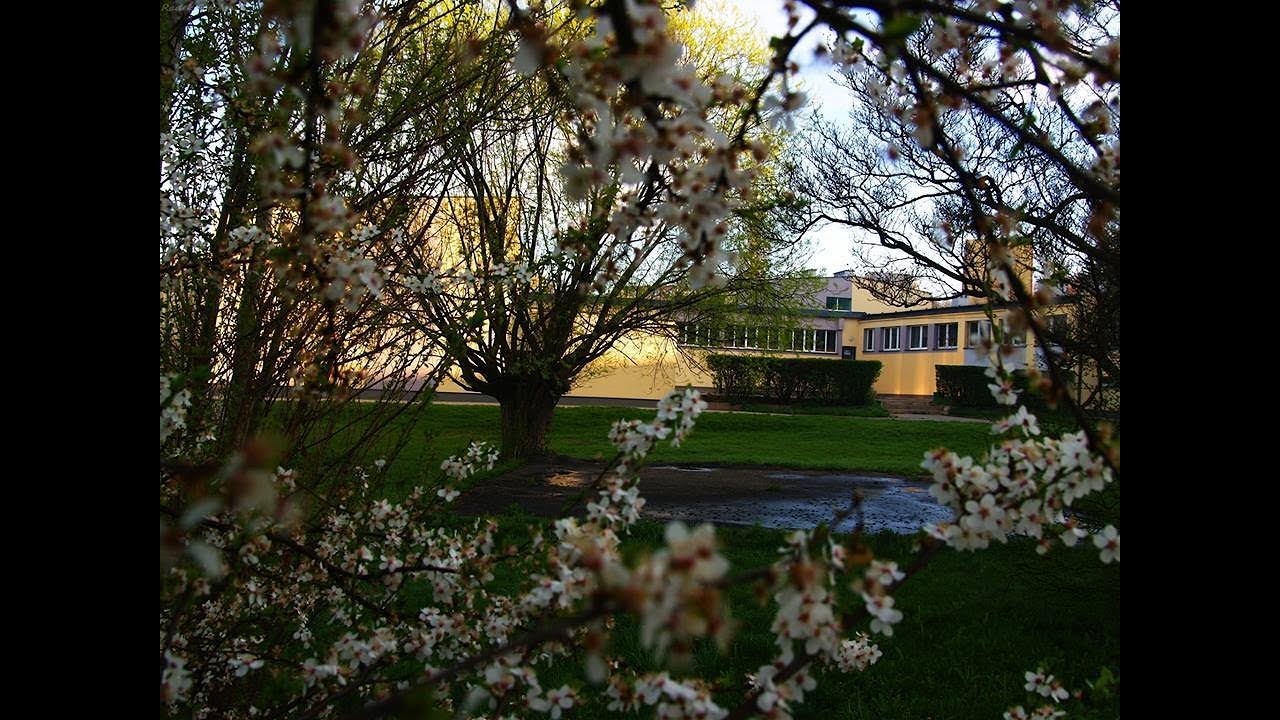 Jubileusz 60-lecia Szkoły Postawowej nr 10 z Oddziałami Integracyjnymi w Starachowicach