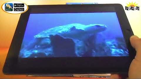 Popar Sea Life Smart Book Demo Video