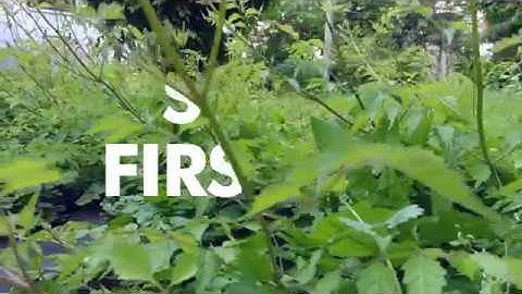 DIY - Camera Slider - First Prototype