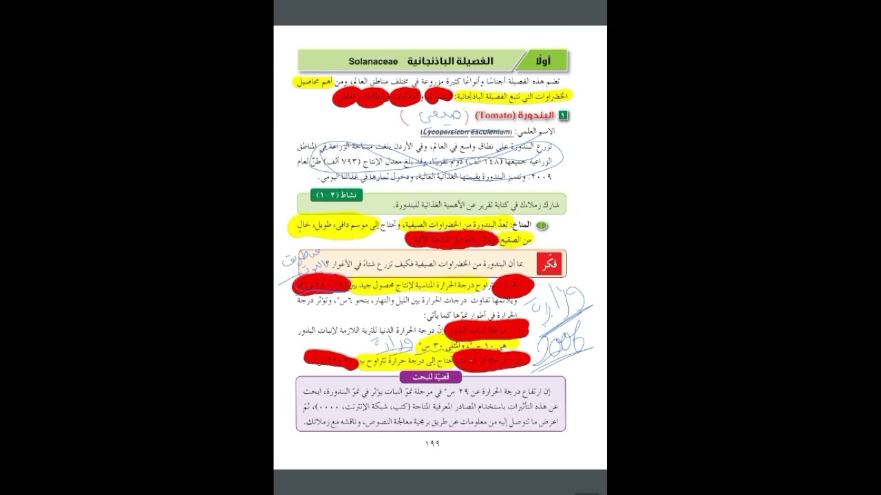 الفصيلة الباذنجانية 