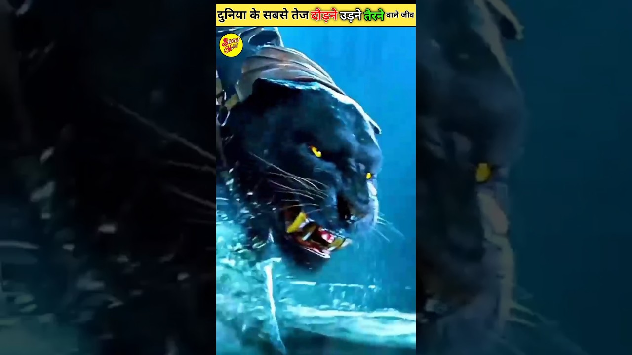 दौड़ने उड़ने औरतैरने वाले जीव#viral #shorts#trendingshorts @MRINDIANHACKER @CrazyXYZ#hindi