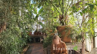 Eng 딩그라미 Vlog 40 핀란드 7탄, 마지막 불금 레즈비언 클럽에 가다 에스토니아, 탈린, 클럽, 핀에어 비즈니스 레즈커플