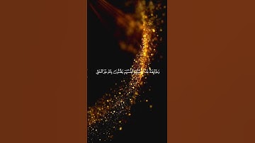 #الآية154#سورة_آل_عمران #فارس_عباد #الشيخ_فارس_عباد #تلاوة_خاشعة #قرآن #قران_كريم