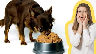 Los mejores alimentos para el perro chihuahua | Cabeza de venado y manzana