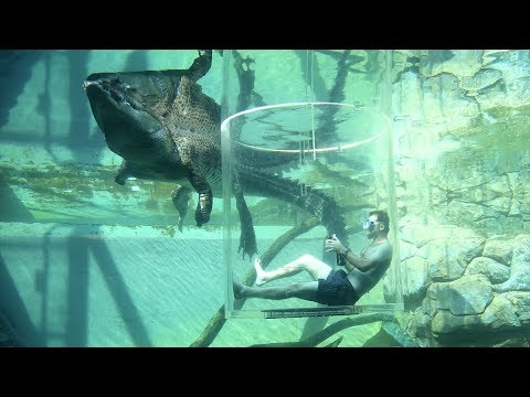 Video: 13 Perkara Terbaik untuk Dilakukan di Darwin, Australia