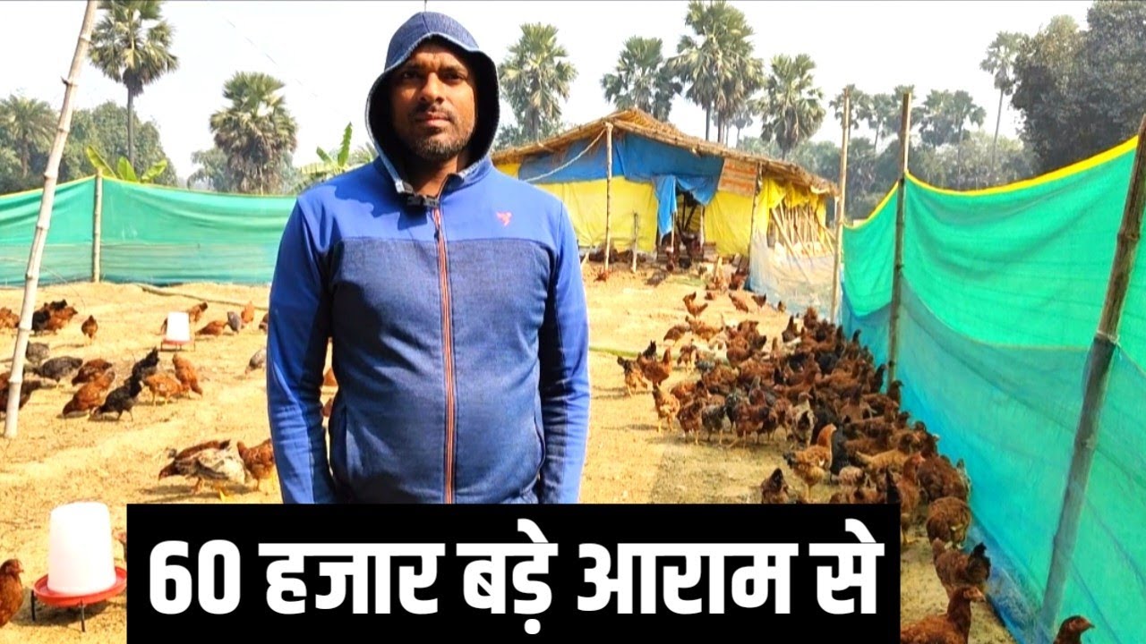 20 हजार के Desi Murgi Farm से 60 हजार आराम से  | Desi Murgi Palan In Bihar