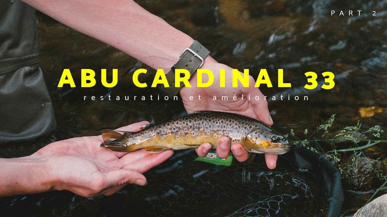 Combo Canne Et Moulinet Abu Garcia Cardinal STX - Pour Truite, Perche, Brochet - Action Rapide