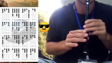 EASY Tin Whistle Tabs Tutorial for Tripping to the Well